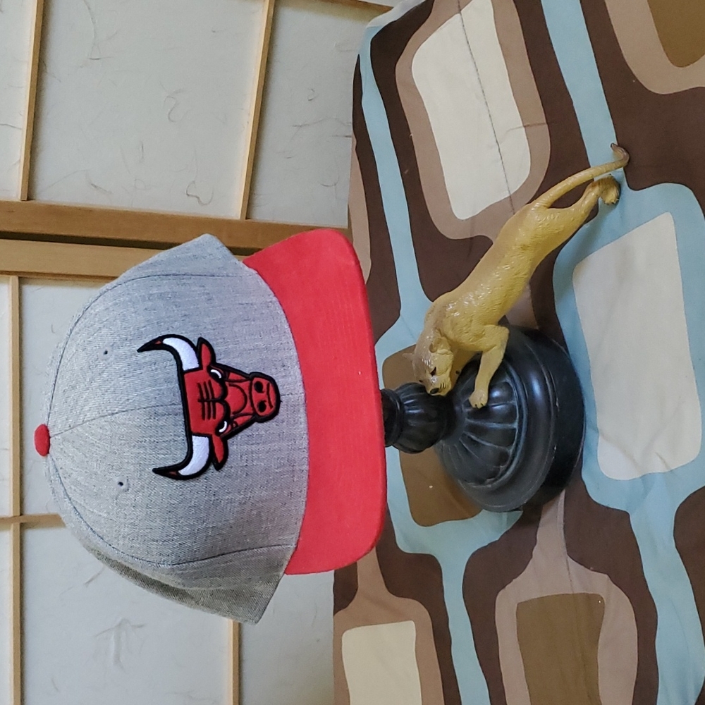 Men Gray/Red/White Chicago Bull Snap Back Hat - Picture 4 of 7
